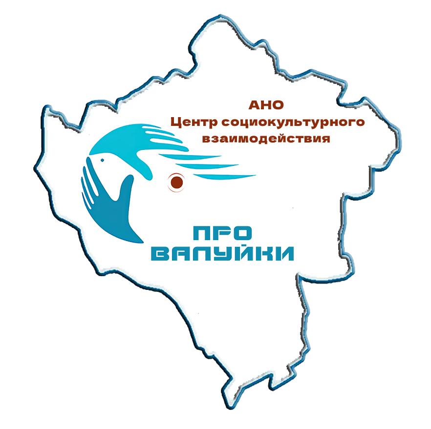 Автономная некоммерческая организация "Центр социокультурного взаимодействия "ПроВалуйки"
